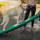 Pet Gear Travel Lite Ramp | $88 | Amazon